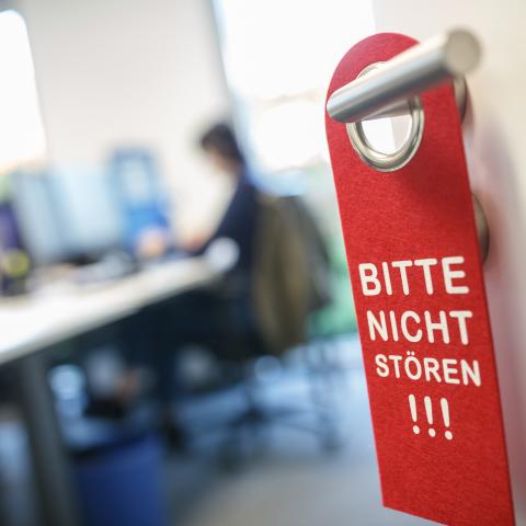 20250506 JE IMG 3063